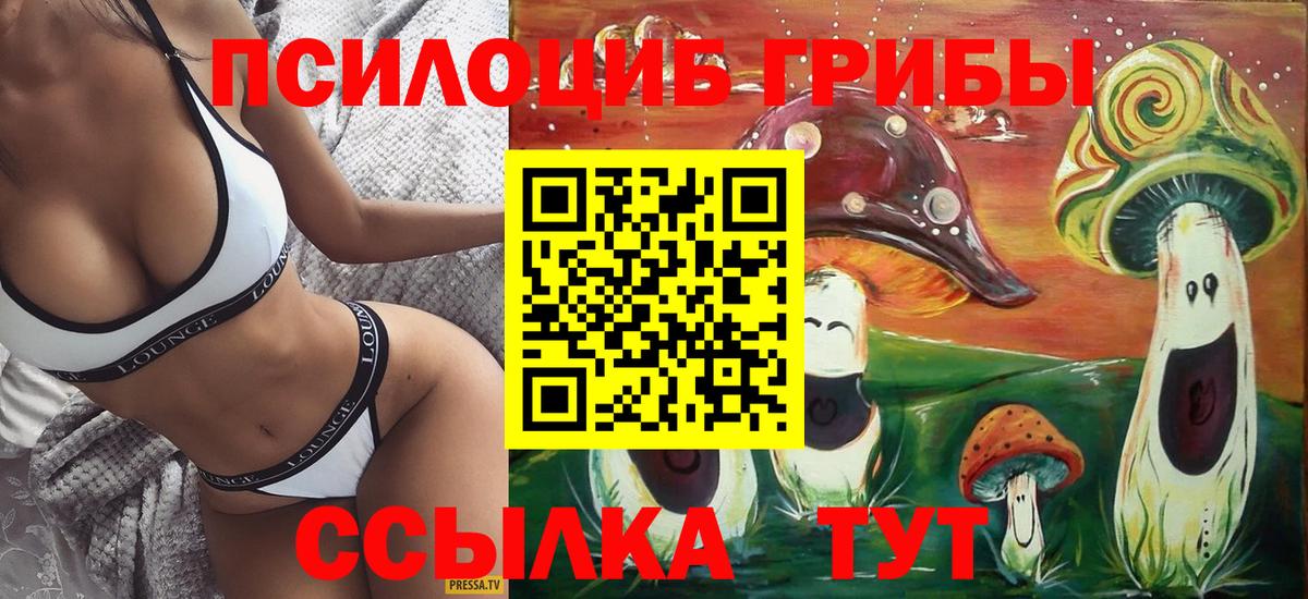 Псилоцибиновые грибы мицелий Санкт-Петербург