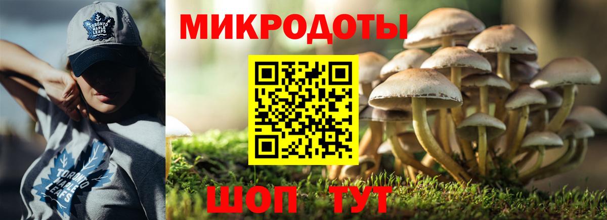 Галлюциногенные грибы GOLDEN TEACHER  Вход с VPN  Санкт-Петербург  Псилоцибиновые грибы Psilocybe 